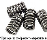 Пружины сцепления EBC CSK218
