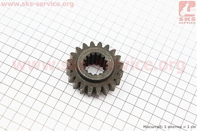 Шестерня вала відбора потужності Z-15/20 Jinma 200/204/240/244 (184.37.403-1)