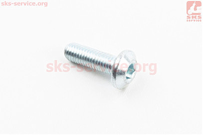 Болт кріплення гальмівного диска M8x25mm (під шестигранник) тип 2