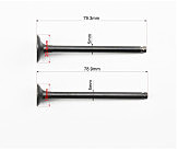 Клапан впускний, випускний (НЕМАГНІТНИЙ) к-кт Honda AF-61/62 (d = 20 / 16мм; h = 78,9мм)