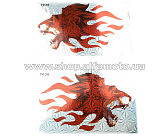 Наклейки (набор) LION (25х16см) (#7036A)