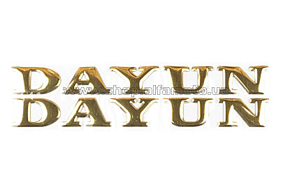 Наклейка   буквы   DAYUN   (19х4см, 2шт, золотые)   (#DYN)