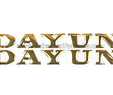 Наклейка   буквы   DAYUN   (19х4см, 2шт, золотые)   (#DYN)