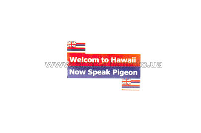 Наклейка   на номер   WELCOM TO HAWAII   (8x8см)