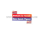 Наклейка   на номер   WELCOM TO HAWAII   (8x8см)