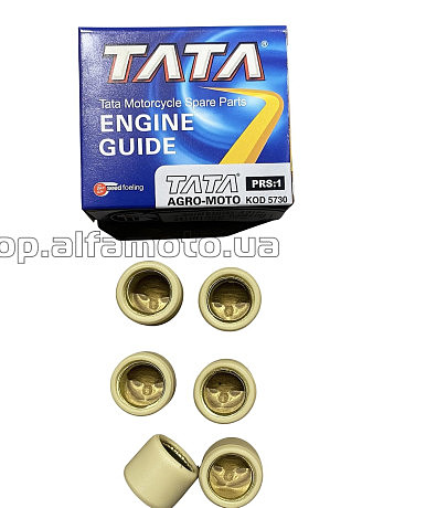 Ролики вариатора Honda 16*13 5,5г AMG