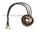 Ротор  бензогенератора 1.8KW/2.0KW AMG