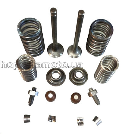 Клапаны (пара, в сборе) Delta 70 OLN