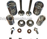 Клапаны (пара, в сборе) Delta 70 OLN