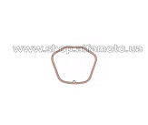 Прокладка крышки головки цилиндра м/б 190N (9/10Hp) TD