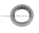 Сальник    Suzuki LETS   (27*40*6) VV