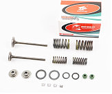 Клапанный рем. к-кт (пружины, сухари, сальники, клапана) CB125cc