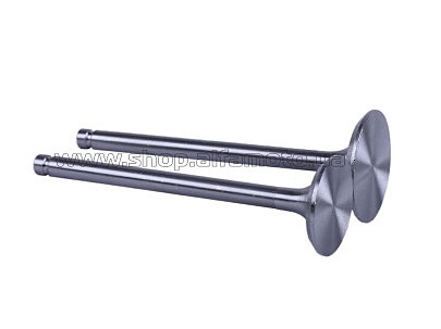 Клапаны   (пара, голые)  м/б  195N  (12Hp) (L-120mm) Zubr AMG-2