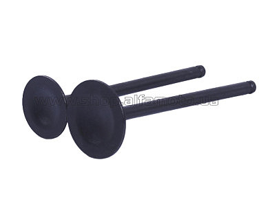 Клапаны   (пара, голые)  4T CB125 AMG-2