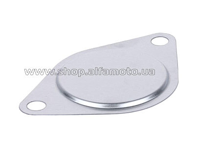 Заглушка блока под электростартер м/б 170D AMG-2