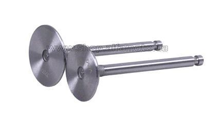 Клапаны   (пара, голые)   м/б 192D AMG-2