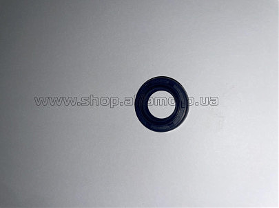 Сальник коленвала б/п St 180  (15*25*5)