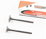 Клапана выпускной (НЕМАГНИТный) (h-90,4; d-24,9), впускной (h-91,3; d-30) к-кт 2шт CB-125cc