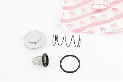 Гайка зливна олії, манжет, пружина, фільтр масляний, к-кт 4шт