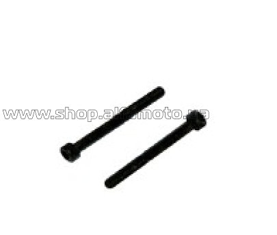 Шпильки карбюратора  б/п   для Goodluck (пара) MAG