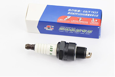 Свеча 2Т E5T &mdash; M14 L12