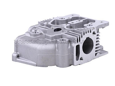 Головка цилиндра м/б   192D (голая) Дизель AMG-2