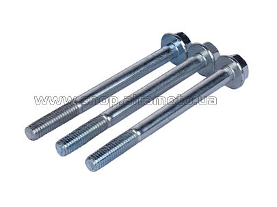 Болты   крепления крышки клапанов 195N (GZ 3шт) AMG