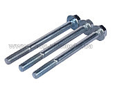 Болты   крепления крышки клапанов 195N (GZ 3шт) AMG