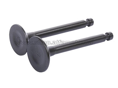 Клапаны   (пара, голые)  бензогенератора 1.8KW/2.0KW тип 2 AMG