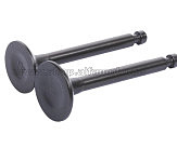 Клапаны   (пара, голые)  бензогенератора 1.8KW/2.0KW тип 2 AMG