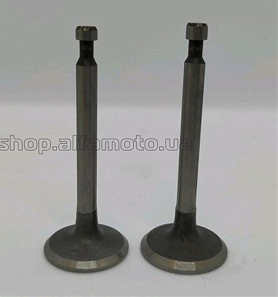 Клапаны (пара, голые) м/б 168F/170F (6,5/7Hp) TD