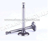 Клапаны (пара, голые) м/б 156F (4Hp) AMG