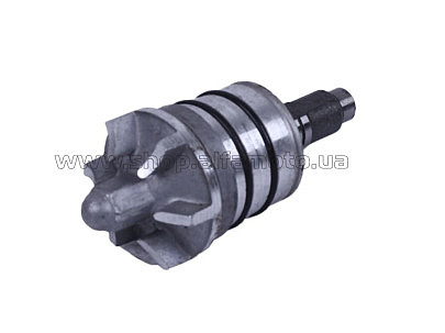 Помпа   CG-300 (в сборе) AMG