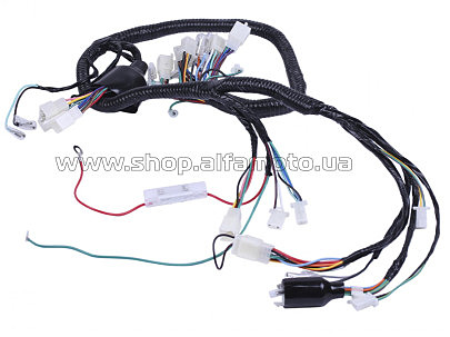 Проводка   4T CB125/150 AMG