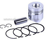 Поршень м/б   ZS/ZH1100   (15Hp)   .STD   (?100) (дизель) AMG