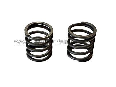 Пружины клапанов м/б   156F AMG