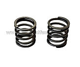 Пружины клапанов м/б   156F AMG