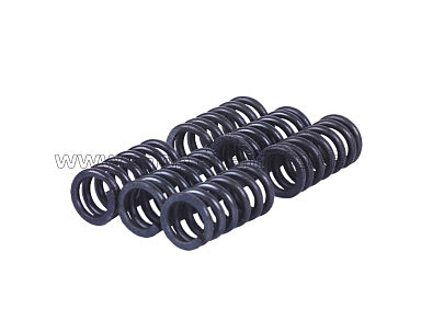 Пружины диска нажимного м/б MFC   (6 шт) AMG