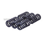 Пружины диска нажимного м/б MFC   (6 шт) AMG