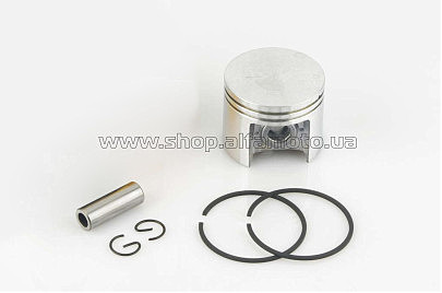 Поршень б/п   для St M 250   (?42,50, p-10)   CANFLY