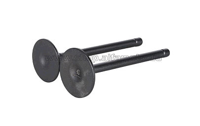 Клапаны   (пара, голые)   м/б 194F AMG