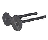 Клапаны   (пара, голые)   м/б 194F AMG