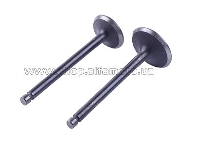 Клапаны   (пара, голые)  м/б  186F  (9Hp) тип 2 AMG