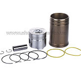 Поршневая група 125,00 мм STD  ZS1125 (с гильзой) AMG