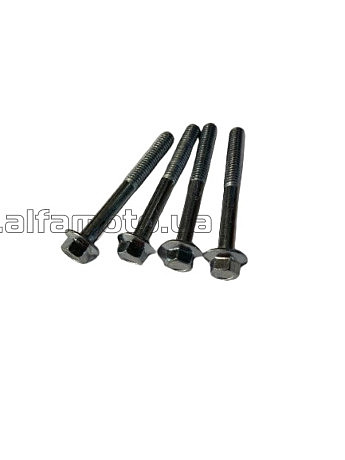 Болты   головки цилиндра генератора 1.8KW/2.0KW (4шт) AMG