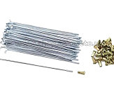 Спица колеса   FT-250/300  Enduro/Kross (комплект, 36 шт.) AMG