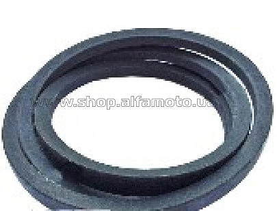 Ремень м/б B (1700) TTG AMG-3