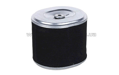 Элемент воздушного фильтра м/б   194F AMG