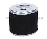 Элемент воздушного фильтра м/б   194F AMG