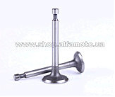 Клапаны   (пара, голые)  м/б  156F   (4Hp) бензогенератор 1,2 КВ AMG-2